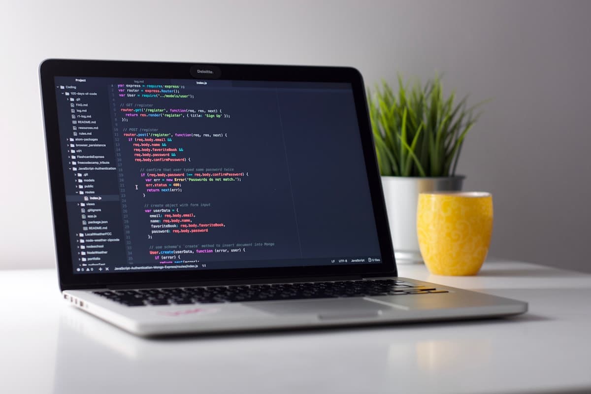 Business Application Development & Support